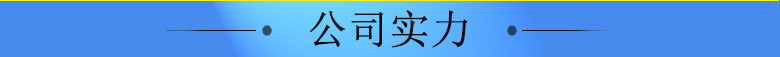 公司实力